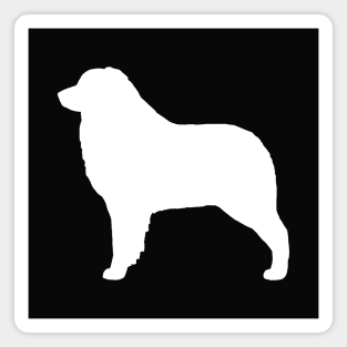 Australian Shepherd Dog | White Silhouette Magnet